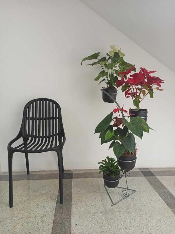 Hotel Boutique Estadio ميديلين المظهر الخارجي الصورة